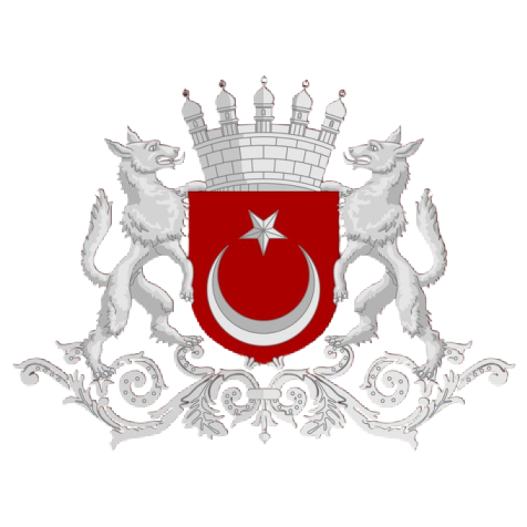 Türkiye Coat Of Army (Unofficial)